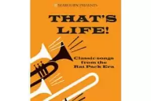 Evening Under The Stars