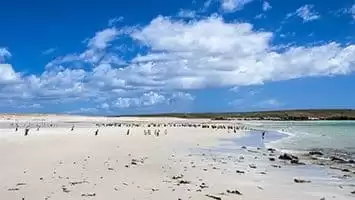 Islas Malvinas