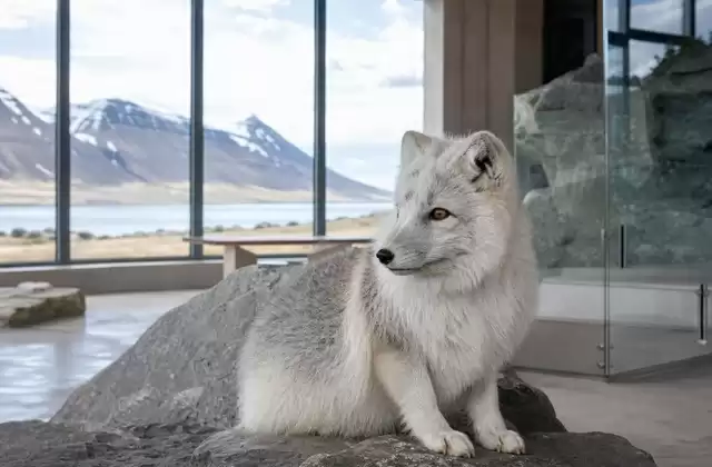 En Ísafjörður