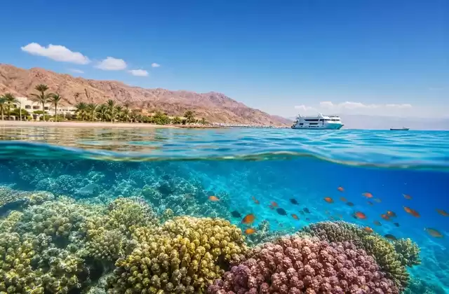 En los arrecifes de Aqaba