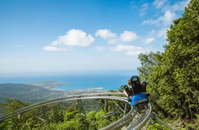 Dragon's Tail Coaster