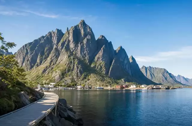Reine