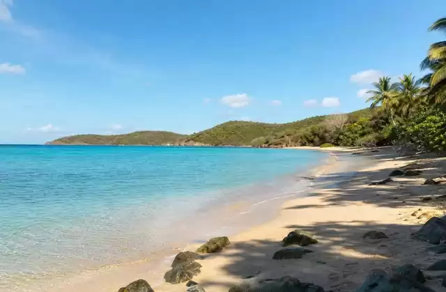 Vieques