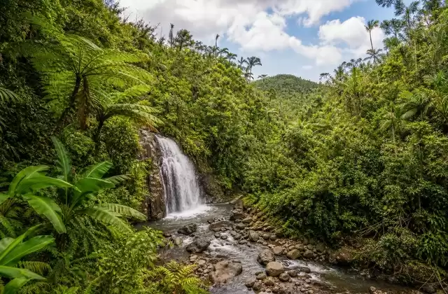 El Yunque