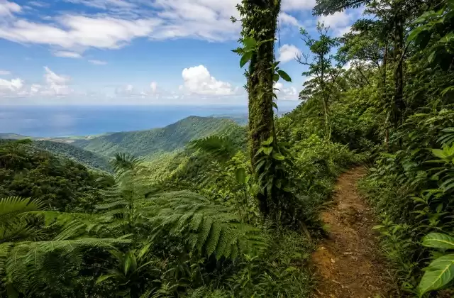 El Yunque