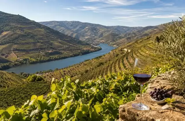 Valle del Duero