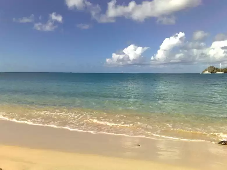 Rodney bahia